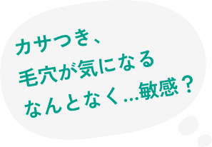 カサつき、毛穴が気になるなんとなく…敏感？